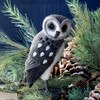 Wool grey Barn Owl-lg
