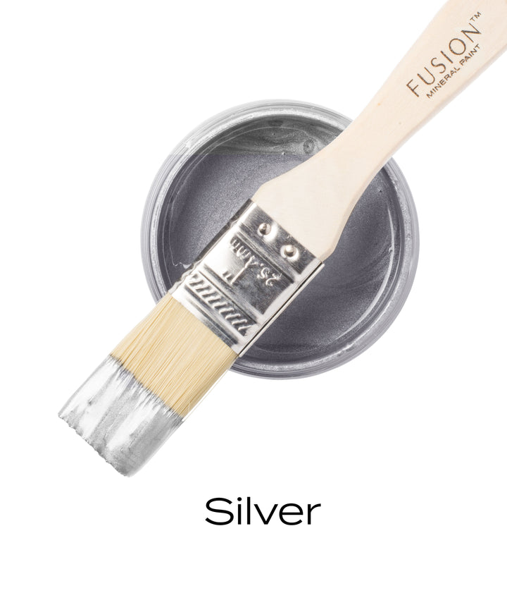 Fusion Metallic Paint/Silver